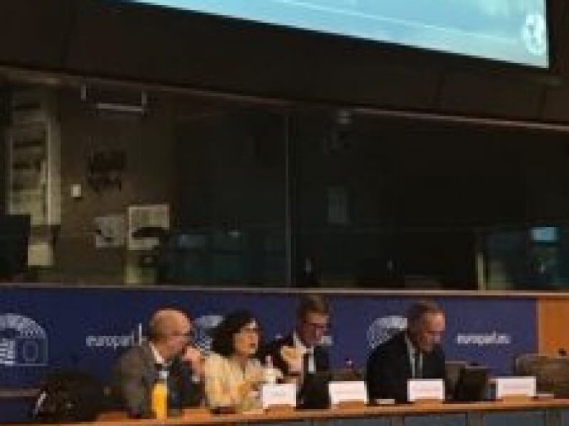 Co-President makes case for Planetary Emergency Plan, in European Parliament