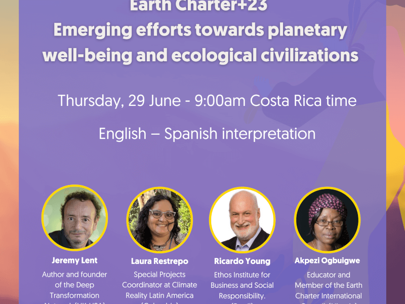 Emerging efforts towards planetary wellbeing and ecological civilizations