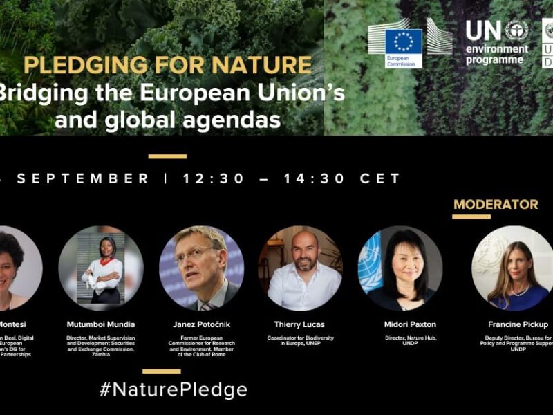 Pledging for nature- Bridging the European Union's and global agendas