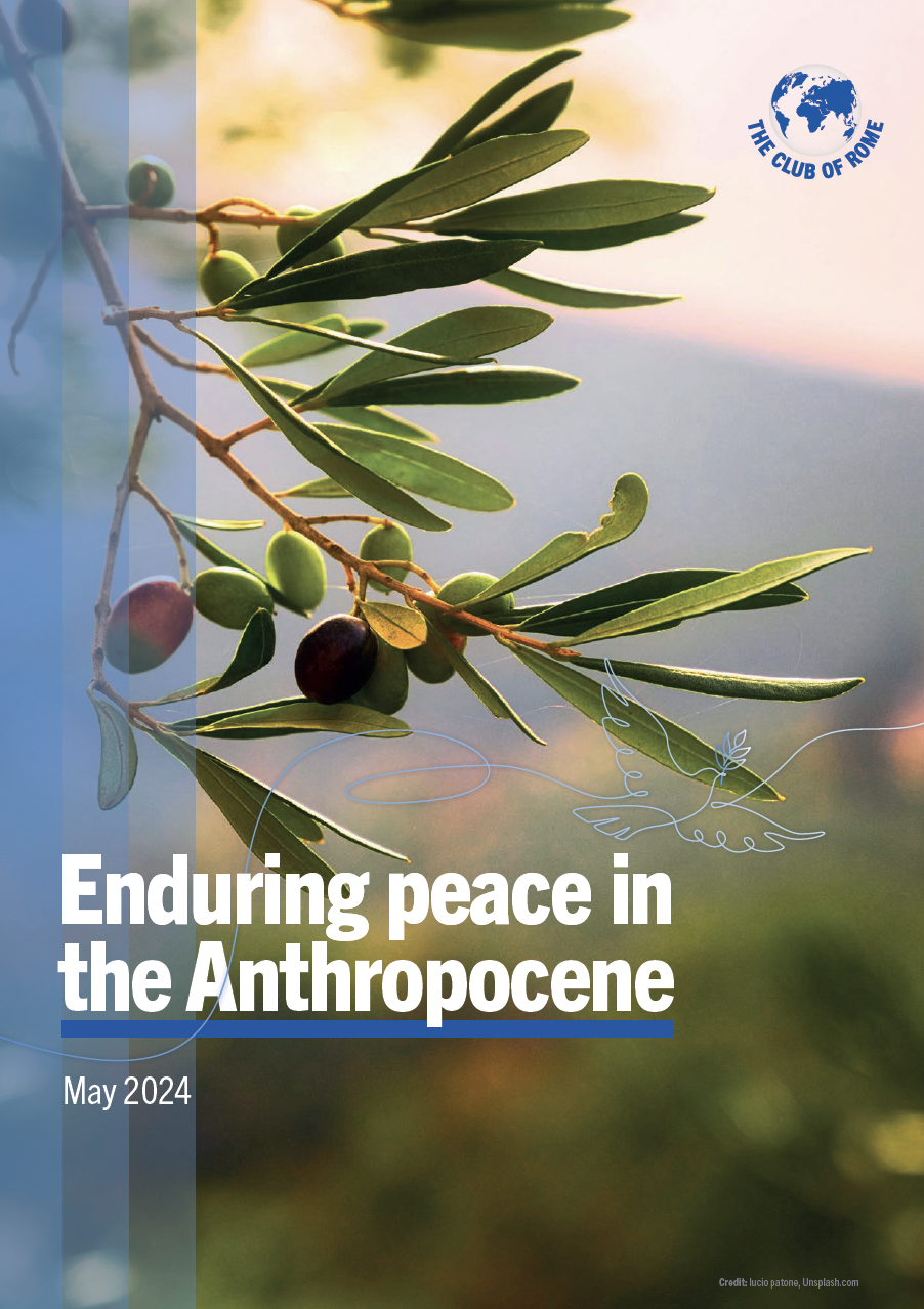 Enduring peace in the Anthropocene